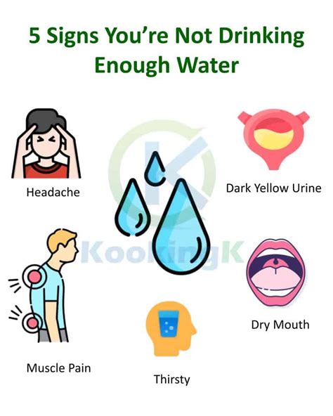 How Much Water Should I Drink Daily