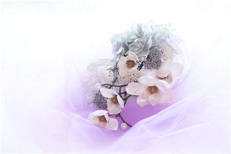 Funeral Background Purple Images Browse 2630 Stock Photos Vectors