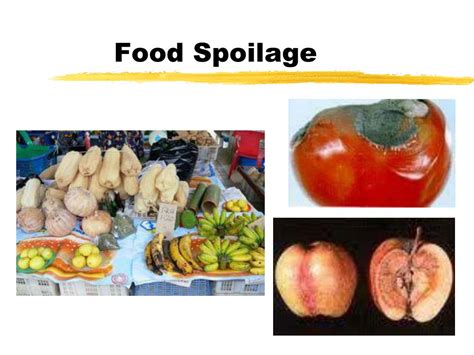 Ppt Food Spoilage Powerpoint Presentation Free Download Id3394389