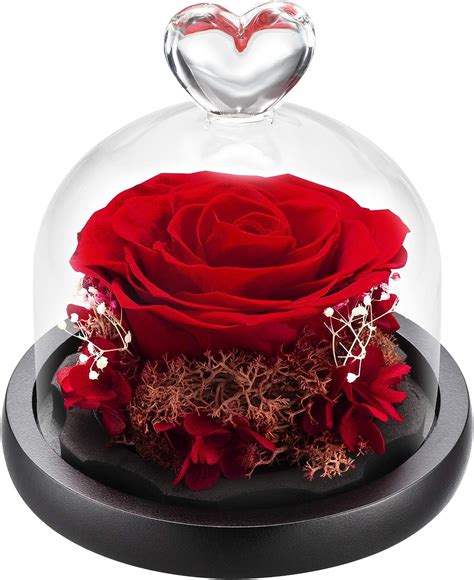 Duhouse Forever Roses Preserved Real Flowers Eternal Enchanted Rose Red