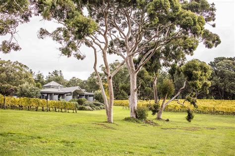 Polperro Villas At Red Hill A Boutique Luxury Accommodation On The Mornington Peninsula