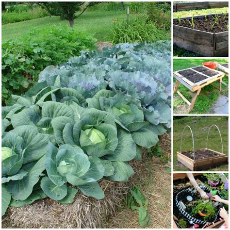 20 Brilliant Raised Garden Bed Ideas You Can Make In A
