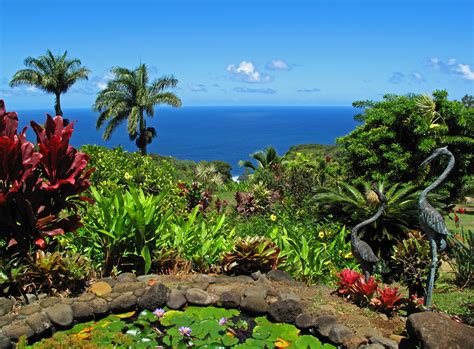Here Are The 16 Most Beautiful Gardens Youll Ever See In Hawaii