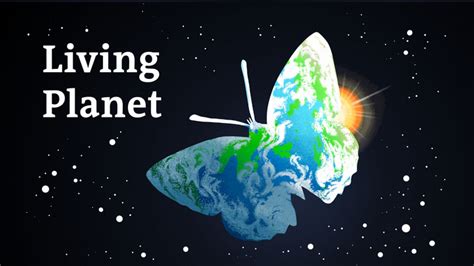 Living Planet Environment Stories From Around The World Environment