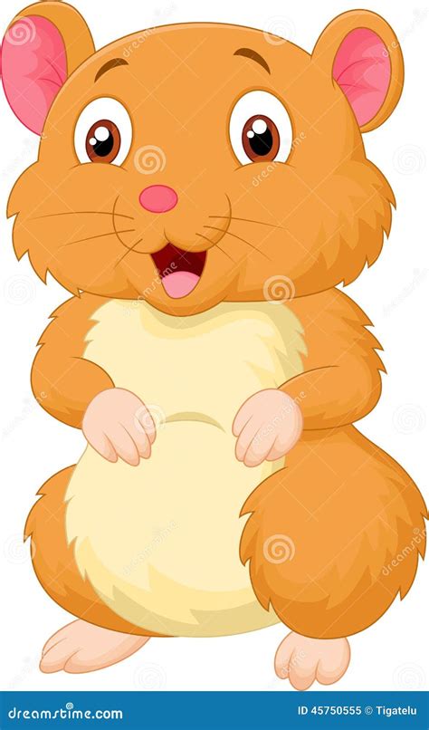 Cute Hamster Cartoon Stock Vector Illustration Of Smiling 45750555