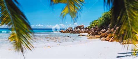 Tropical White Sand Beach On Paradise Island Exotic Summer Vacation