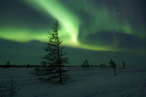 Northern Lights and Winter Nights | Heartland Travel and ...