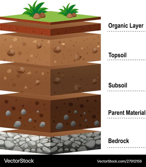 Different Layers Soil On Earth Royalty Free Vector Image