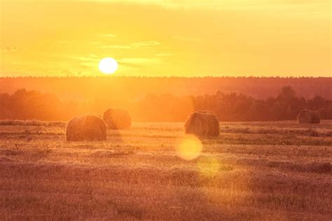 Premium Photo Sunset Field Landscape With Hay Bales