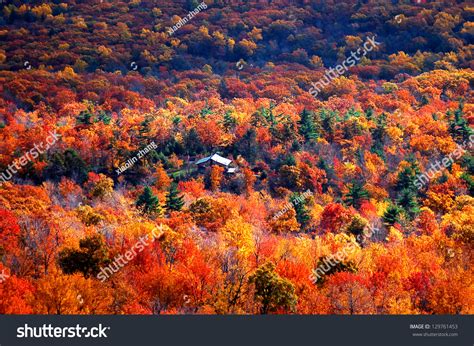 Panoramic View Autumn Mountain Stock Photo 129761453 Shutterstock