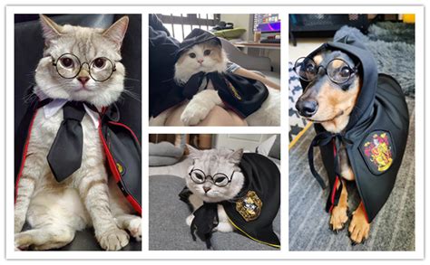 Dog Cat Halloween Costumes Cape Pet Halloween Apparels