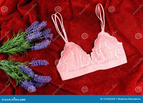 Lingerie Pink Bra On A Red Background Stock Photo Image Of Glamour