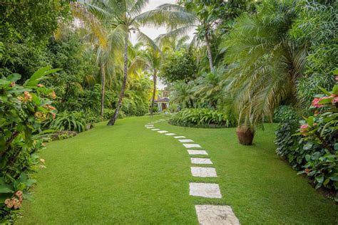 Caribbean Garden — Craig Reynolds Landscape Architects