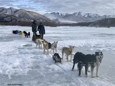 Final Tour Of The Season — Bush Alaska Expeditions Dog Sled Tours