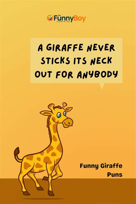 100 giraffe puns that are head and shoulders above all others in 2022 puns funny giraffe