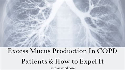 Excess Mucus Production In Copd Patients And How To Expel It