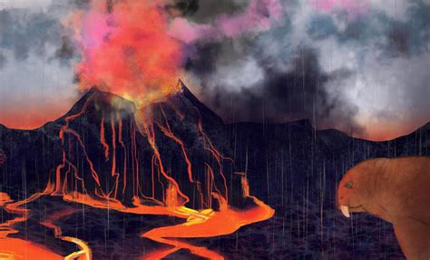 Volcanic Eruptions Caused End Permian Extinction New Evidence Confirms