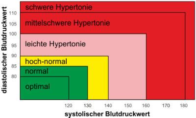 Mehr hierzu erfahren sie unter risikofaktoren für bluthochdruck. Blutdruck messen - Antworten auf die Fragen Warum, Wie, Wo ...