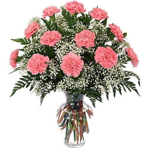 Vase Carnation Arrangement Main Street Floral And Ts Florist In