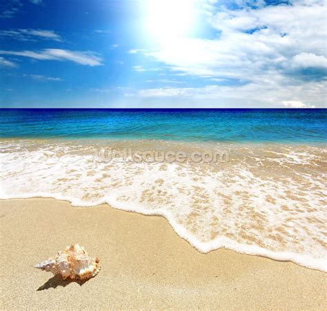 Washed Ashore Wallpaper Wallsauce Uk In 2021 Beach Pictures Beach
