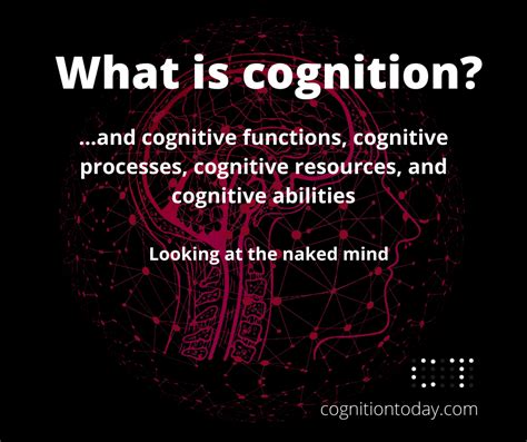 Cognition 101 Executive Functions Cognitive Processes And Abilities