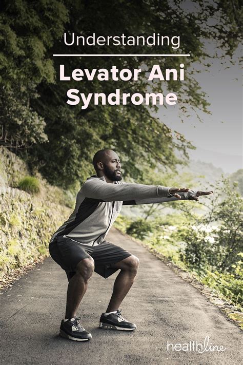 Levator Ani Syndrome Symptoms Causes And Treatment Artofit