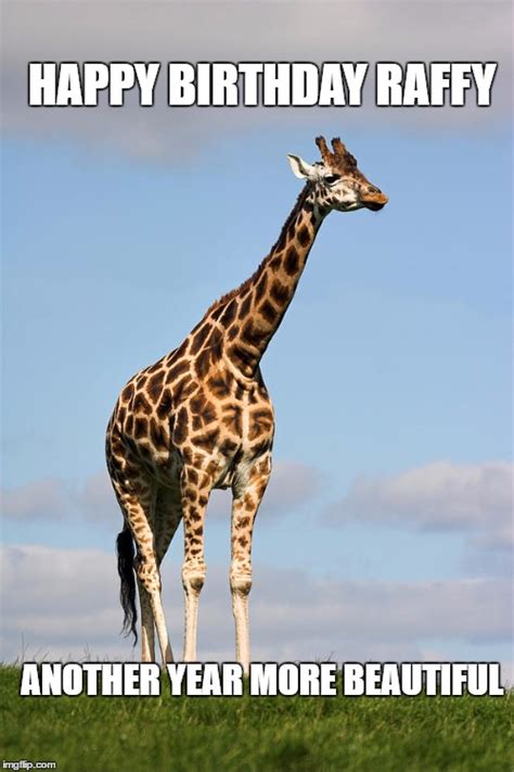 Giraffe Imgflip