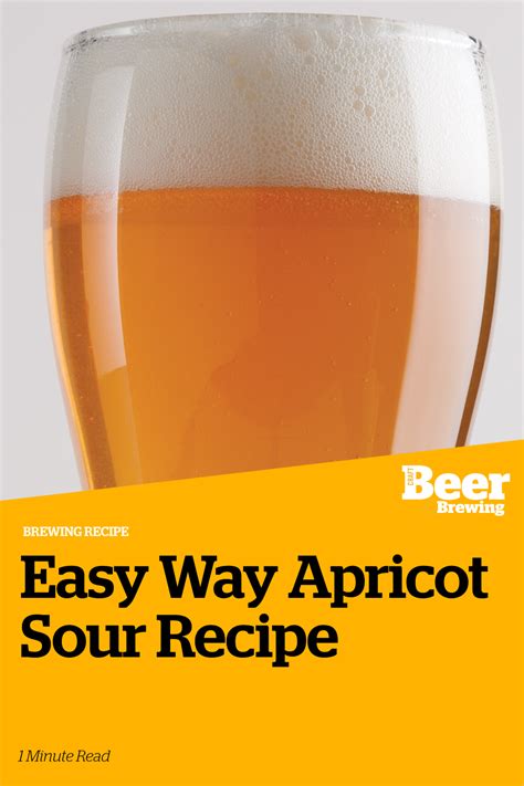 Easy Way Apricot Sour Recipe Craft Beer And Brewing