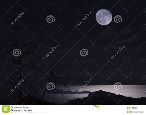 Dark Night Of Full Moon Stock Photo Image Of Spettrale