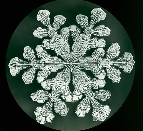 Les Premiers Flocons De Neige Photographiés Snowflake Images