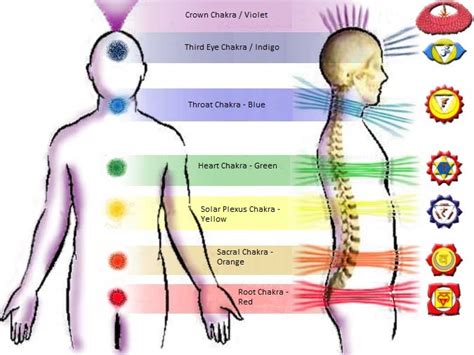 The Chakras Their Functions GOSTICA