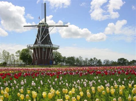 Take Trip To Michigan For Famous Tulip Festival Travel