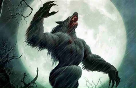 Midwest Yeti On Twitter Werewolf Art Werewolf Lycanthrope