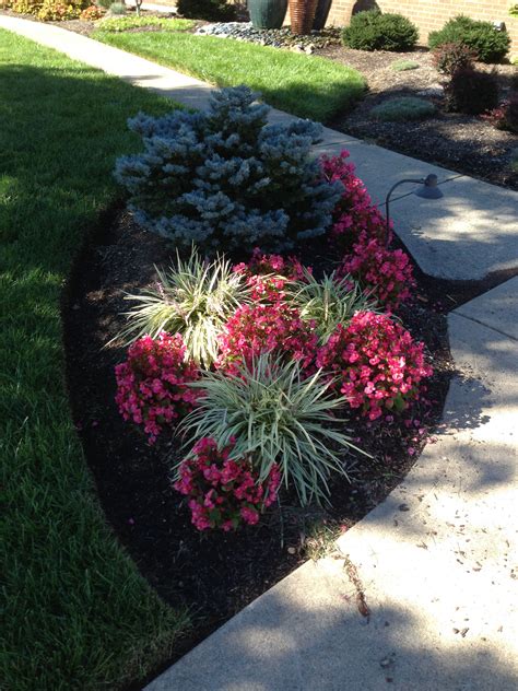 Some Pink And Purple Flowers Are In The Middle Of A Flower Bed With
