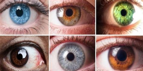 VocÊ Sabia Que A Cor Dos Seus Olhos Revela Sobre Sua Personalidade