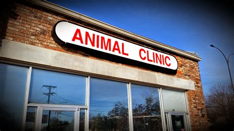 Arlington Animal Clinic Reviews Olene Bales