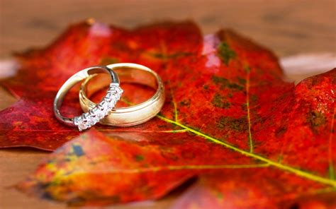 Engagement Ring Wallpapers Wedding Ring Shots Fall Rings Engagement
