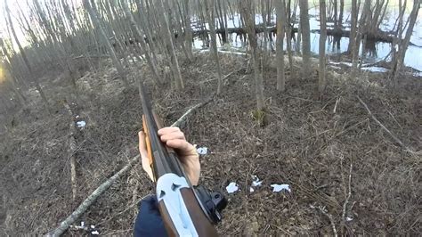 Beaver Hunting Youtube