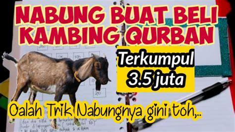 Cara Menabung Untuk Beli Hewan Qurbankambingtabungan Beli Hewan