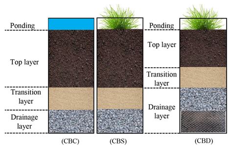 Effects Of Vegetation And Saturated Zone In Cascaded Bioretention On