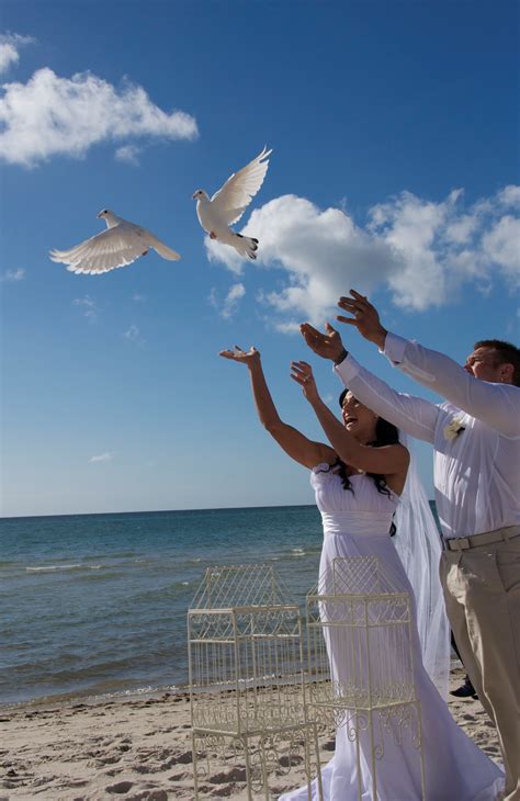 Two White Doves From Doves By Day Being Released On A Melbourne Beach