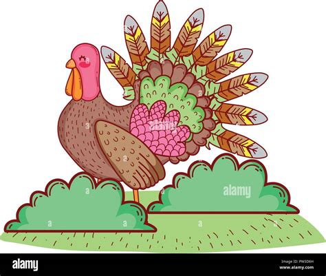 Thanksgiving Turkey Cartoon Stock Vector Image And Art Alamy
