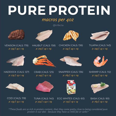 These 50 High-Protein Foods Will Help You Hit Your Macros
