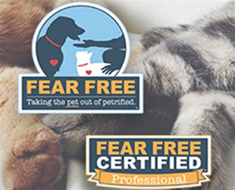 Their programs and courses provide to become certified, members must complete the certification program of their choosing. Toolbox | Fear Free Pets