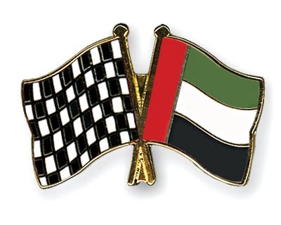 Pins Flag Checkered Black And White United Arab Emirates Friendship Pins Flag Checkered Black