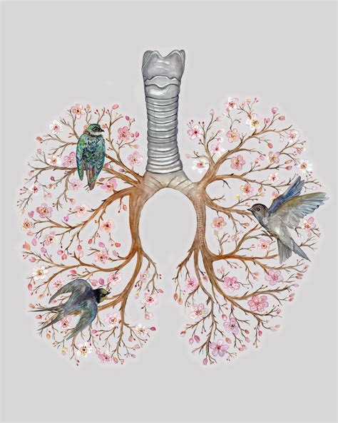 Lungs Drawing Watercolor Flowers Watercolor Art Lungs Art