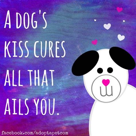 Pin On Dogs U Gotta Just Love Em Funny Sweet Big Hearts