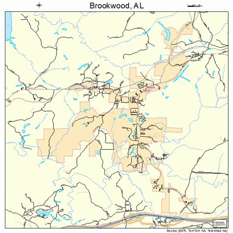 Brookwood Alabama Street Map 0109808