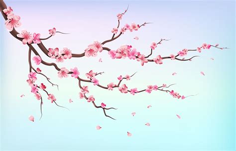 Japanese Cherry Blossom Flower Branch