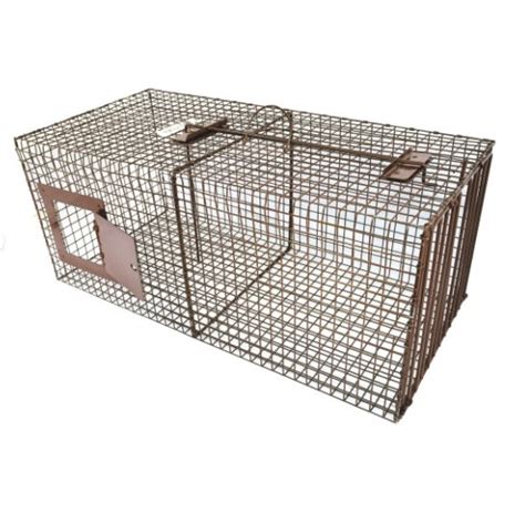 Z Trap Bobcat Live Cage Trap Trapshed Supply Co